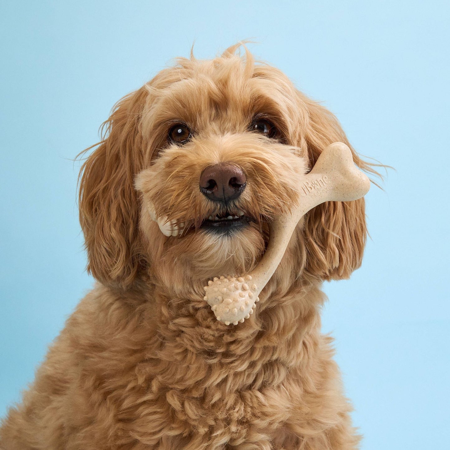 BetterBone SOFT Density-All-Natural, Perfect for teething Puppies, Older dogs, LIGHT chewers by BetterBone All Natural Eco-Friendly Dog Chews & Bones