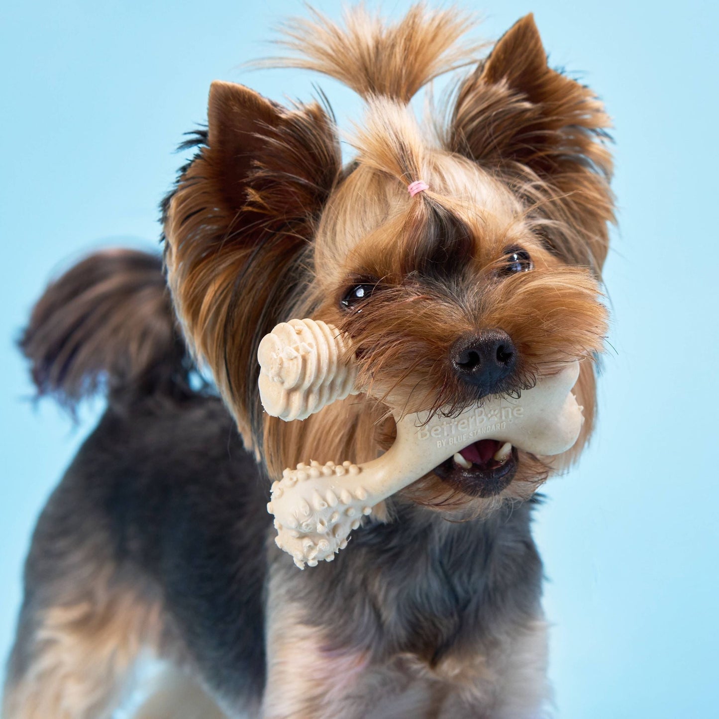 BetterBone SOFT Density-All-Natural, Perfect for teething Puppies, Older dogs, LIGHT chewers by BetterBone All Natural Eco-Friendly Dog Chews & Bones