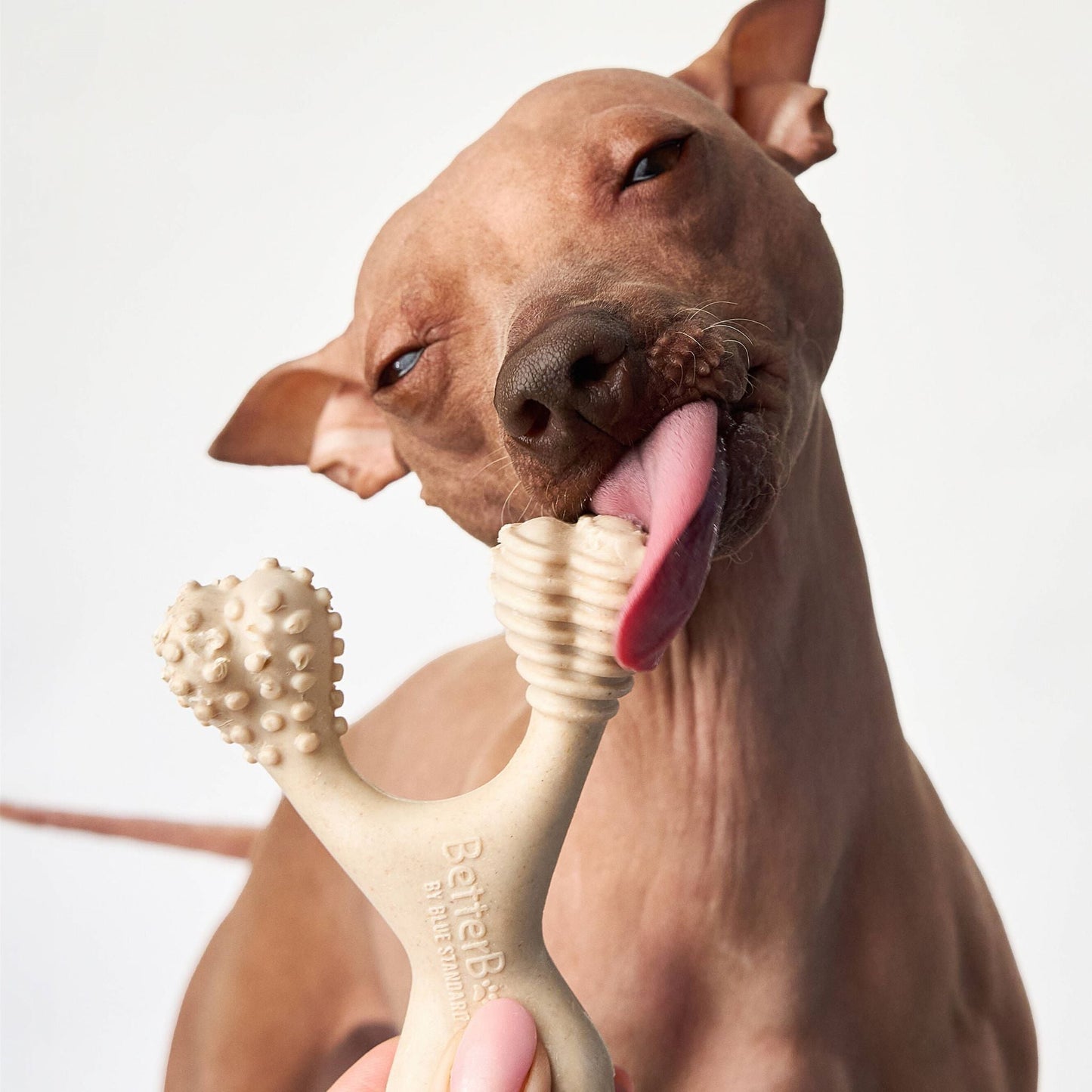 BetterBone SOFT Density-All-Natural, Perfect for teething Puppies, Older dogs, LIGHT chewers by BetterBone All Natural Eco-Friendly Dog Chews & Bones