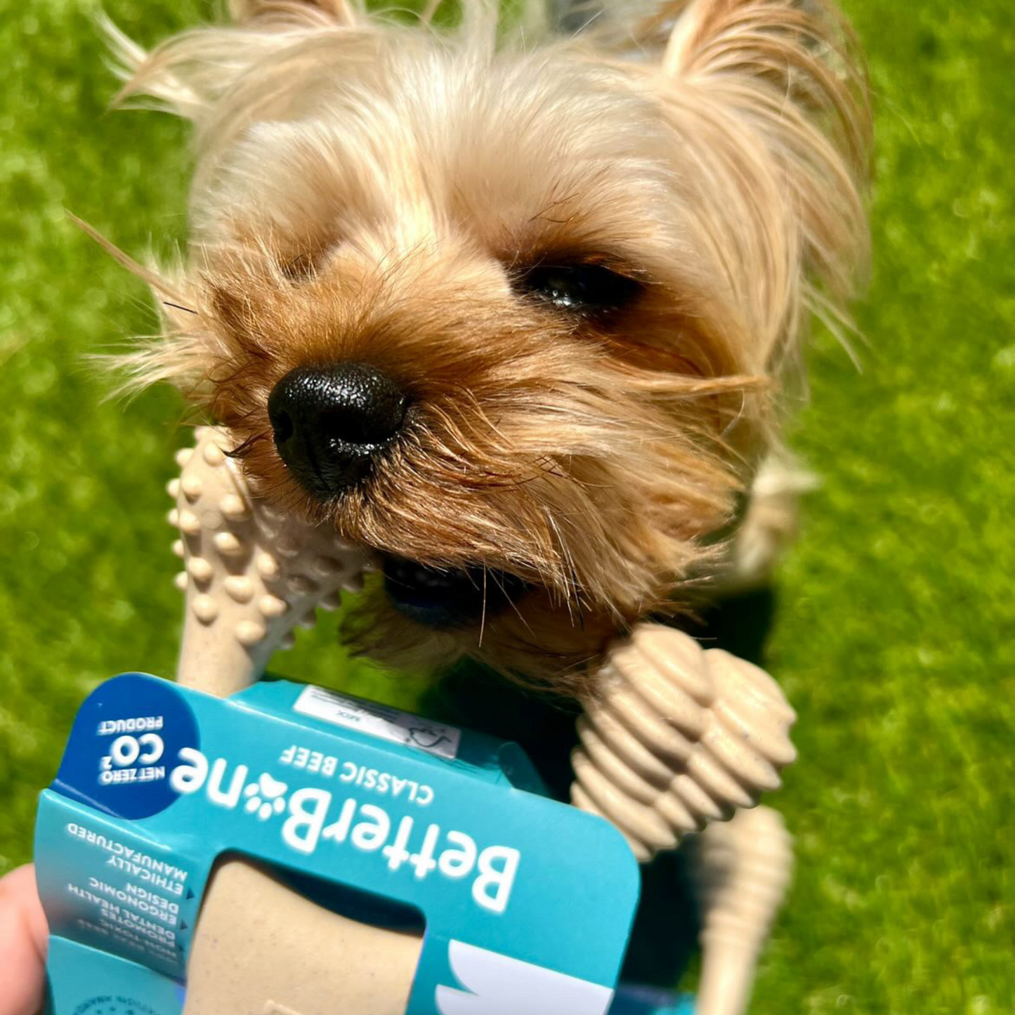 BetterBone SOFT Density-All-Natural, Perfect for teething Puppies, Older dogs, LIGHT chewers by BetterBone All Natural Eco-Friendly Dog Chews & Bones