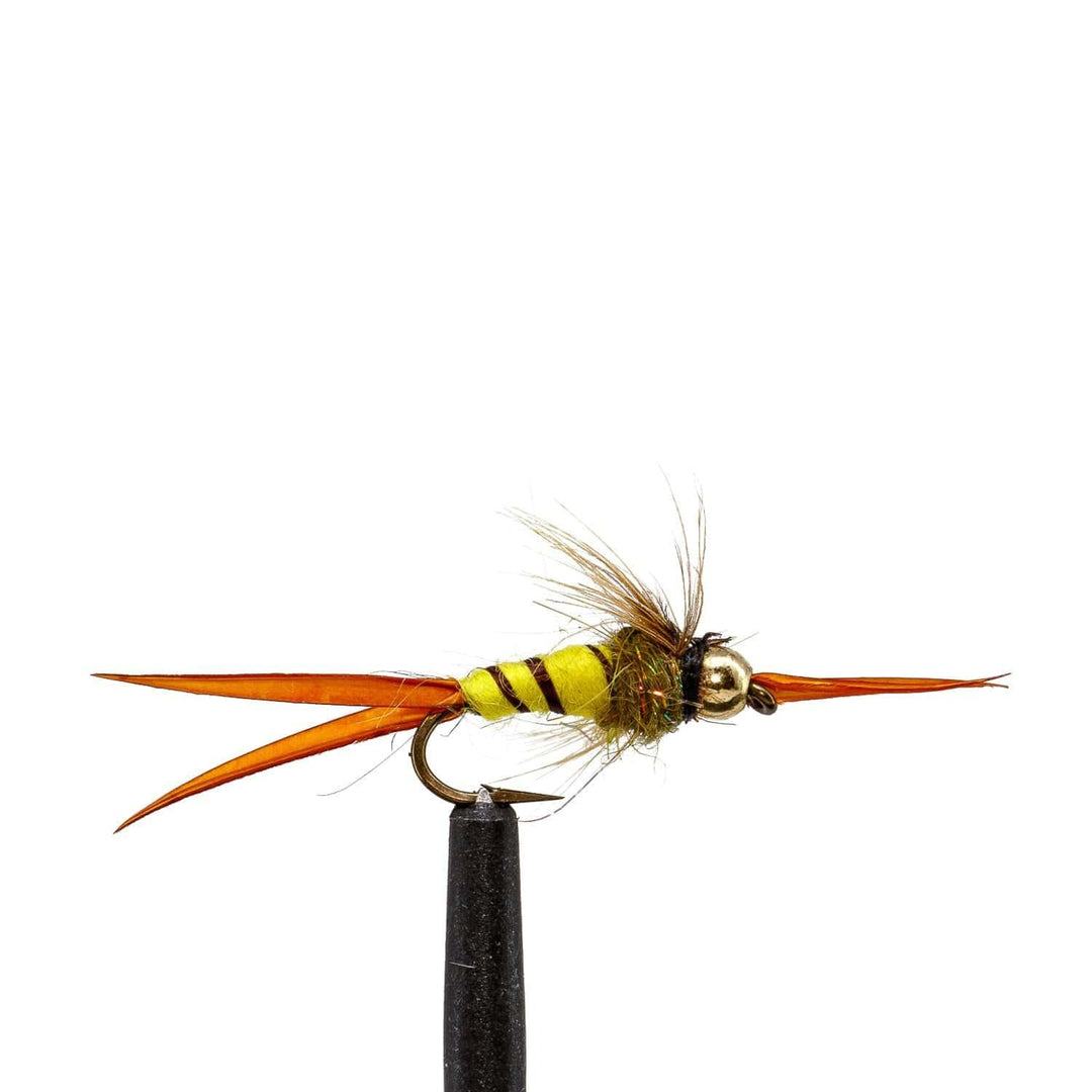 JHFLYCO Loaded Foam Fly Box - Standard Nymph by Jackson Hole Fly Company