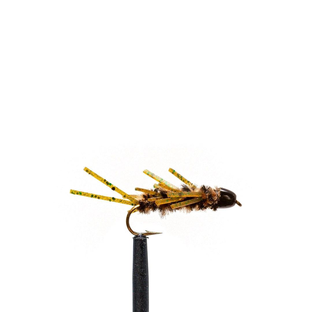 JHFLYCO Loaded Foam Fly Box - Standard Nymph by Jackson Hole Fly Company
