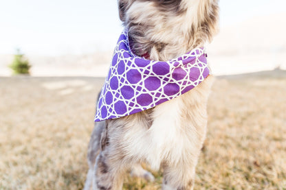 Purple Trellis Reversible Dog Bandana by Uptown Pups