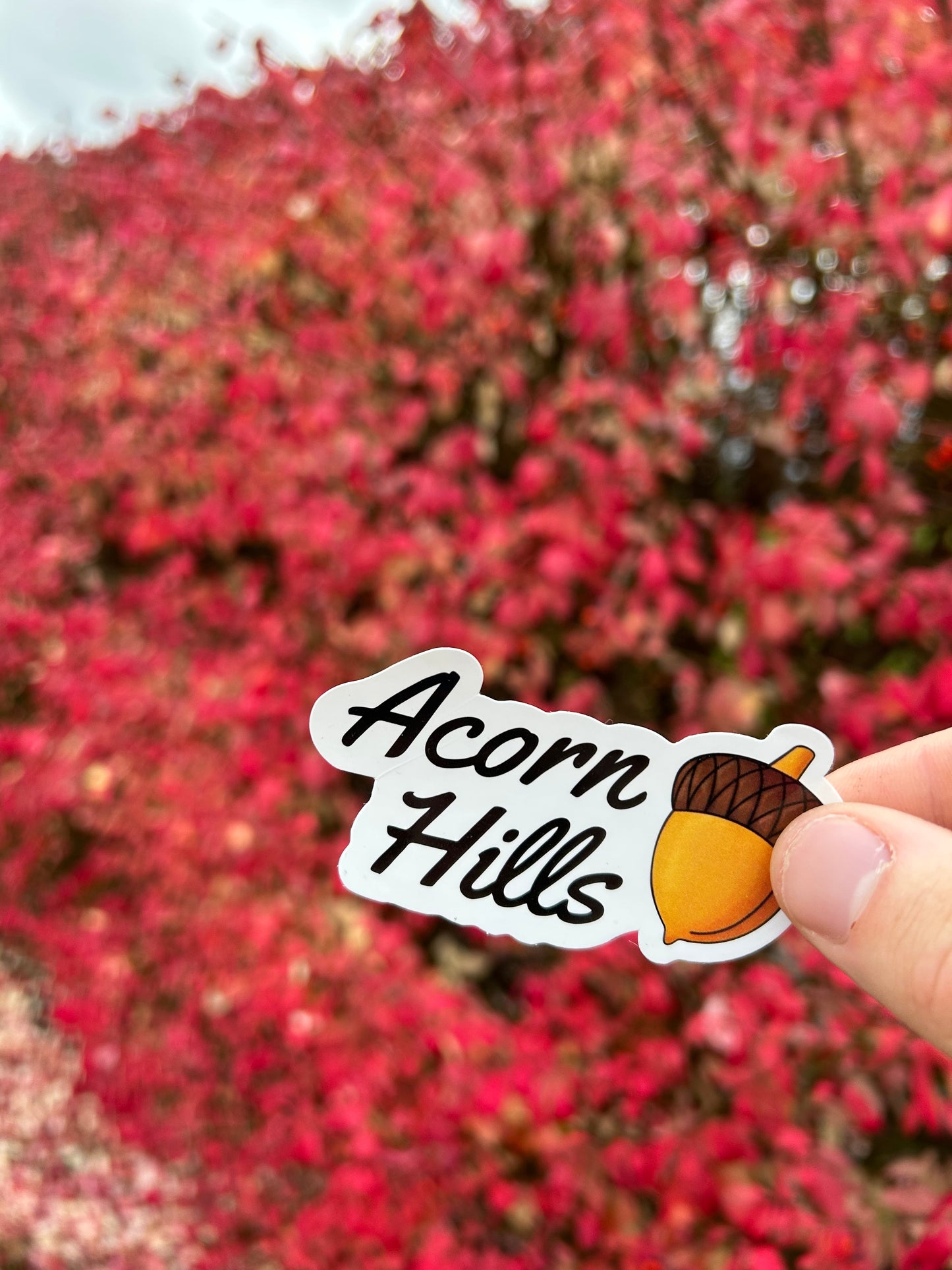 Logo Sticker (Pack of 3) by Acorn Hills