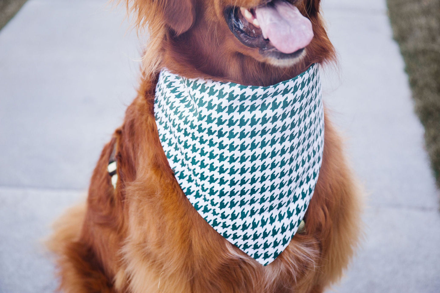 Dark Green Houndstooth Reversible Dog Bandana by Uptown Pups