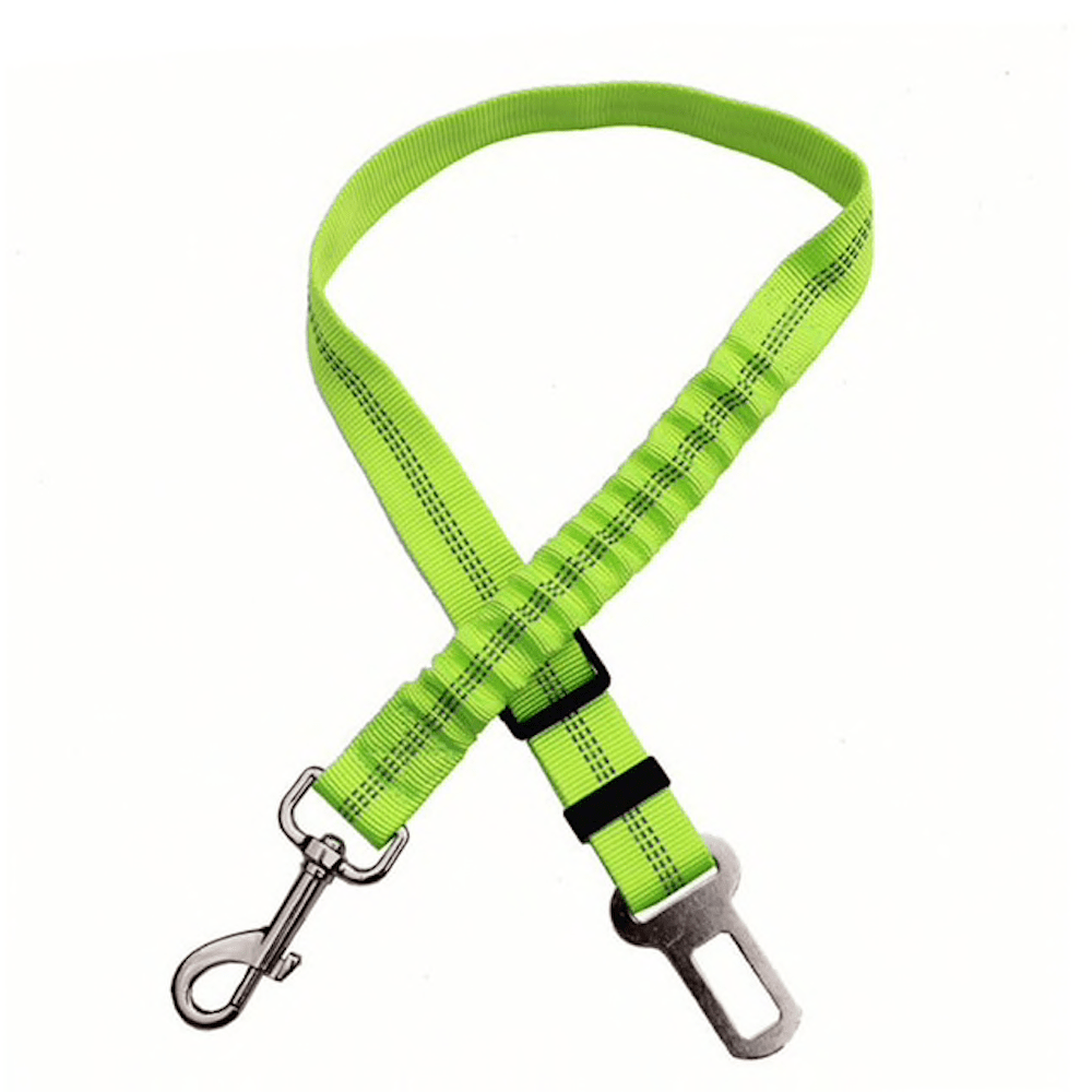 Car Elastic Safety Leash by Threaded Pear