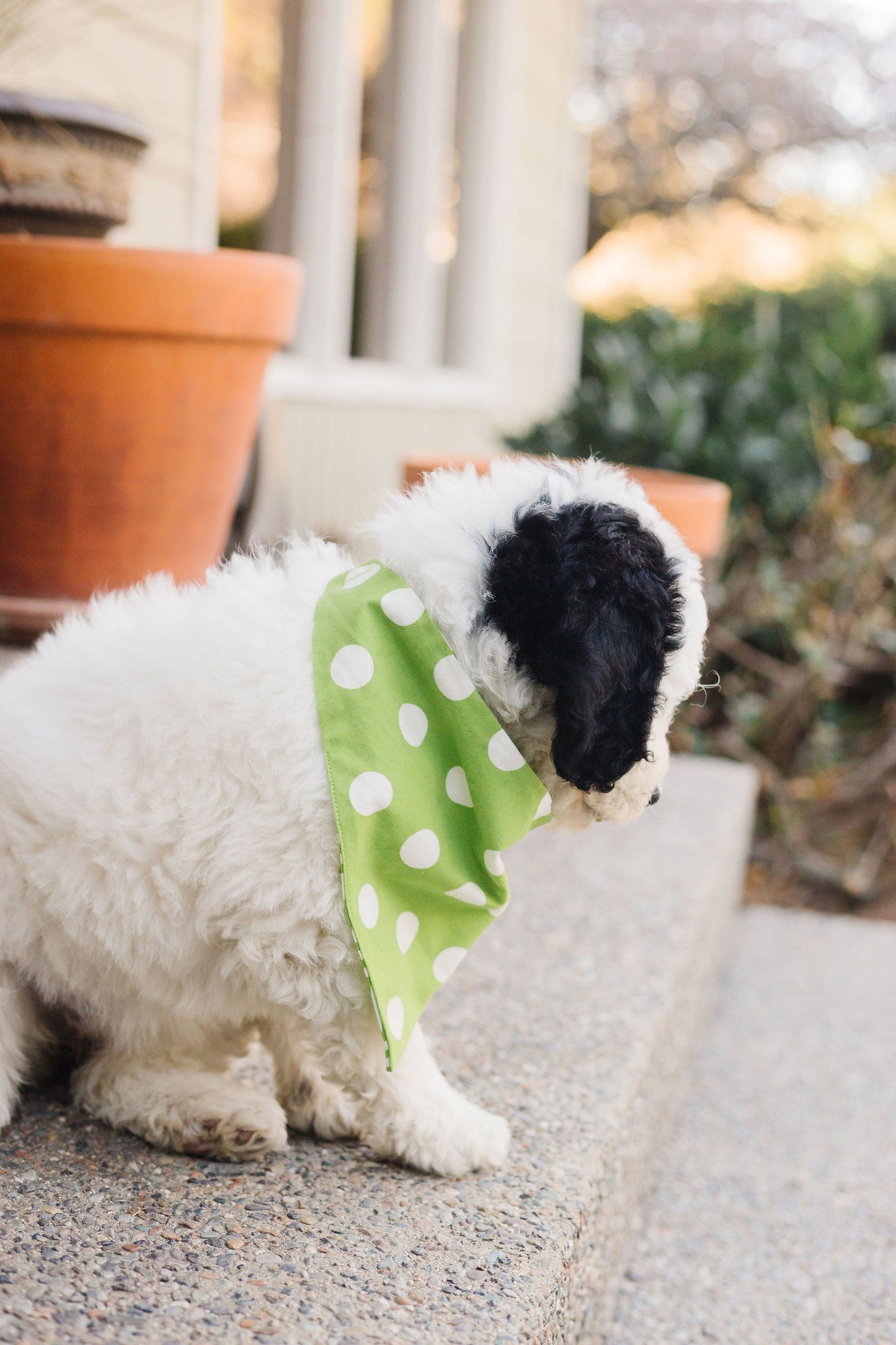 Lime Green Chevron Reversible Dog Bandana by Uptown Pups