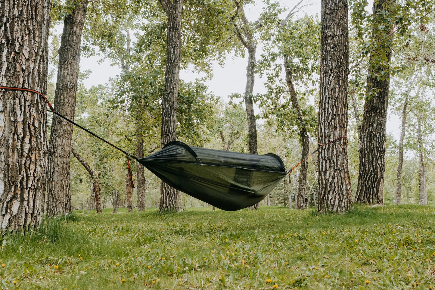 Hammock with Mosquito Net by YATTA