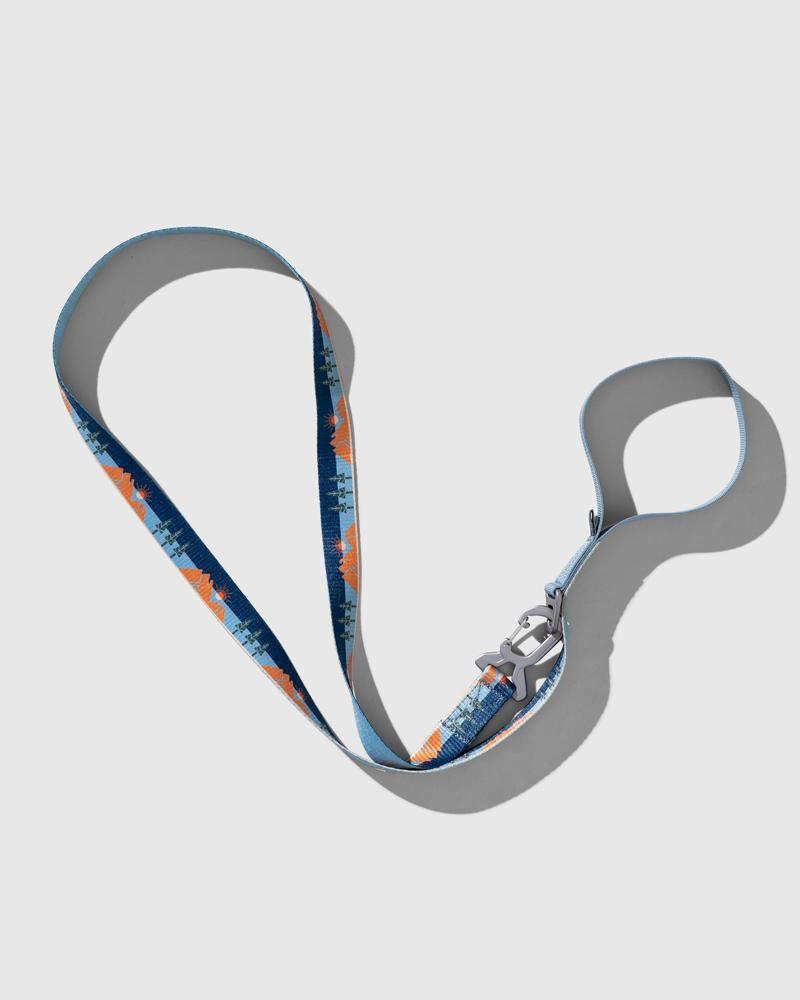 (R)evolution™ Recycled Woven Dog Leash by United By Blue