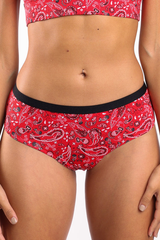 The Outlaw | Naughty Paisley Cheeky Underwear by Shinesty