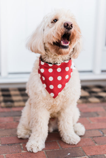 Red Checkered Reversible Dog Bandana by Uptown Pups