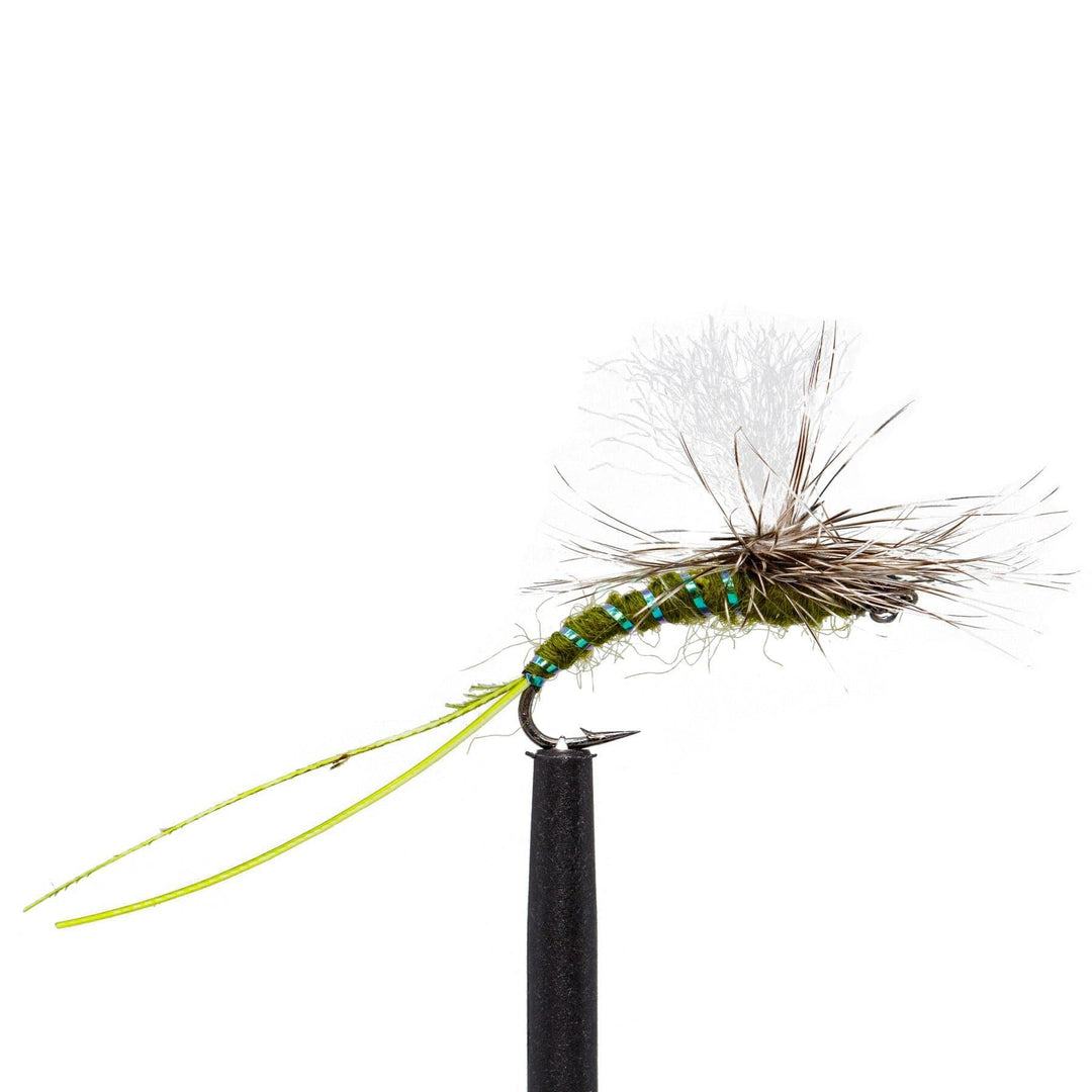 JHFLYCO Loaded Foam Fly Box - Standard Dry Fly by Jackson Hole Fly Company