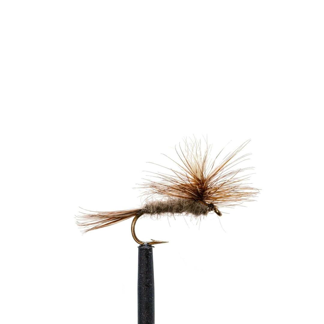 JHFLYCO Loaded Foam Fly Box - Standard Dry Fly by Jackson Hole Fly Company