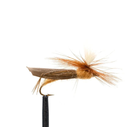 JHFLYCO Loaded Foam Fly Box - Standard Dry Fly by Jackson Hole Fly Company