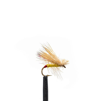 JHFLYCO Loaded Foam Fly Box - Standard Dry Fly by Jackson Hole Fly Company